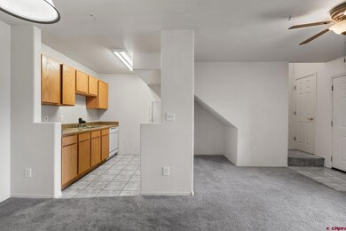 1100 Goeglein Gulch Rd unit 247, Durango, CO 81301 - photo 7