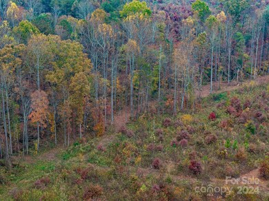 00 McCurry Farm Ln unit D, Lincolnton, NC 28092 - photo 5