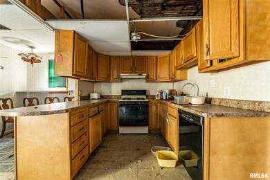 218 Willard Ave, Lincoln, IL 62656 - photo 7