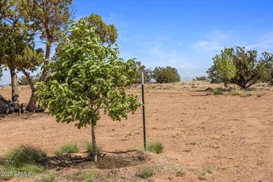 8804 Johnson Hill Trail, Snowflake, AZ 85937 - photo 7