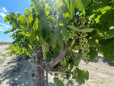 1 S Plumas Ave, Kerman, CA 93630 - photo 2