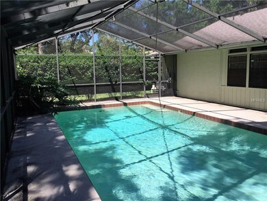 Extra large screened swimming pool with adjoining 