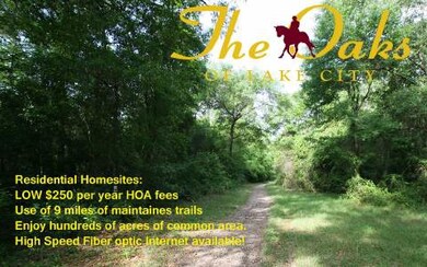 LOT21 Mandiba Dr, Lake City, FL 32024 - photo 3