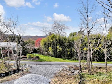 00 Oakdale Rd unit 2, Waynesville, NC 28786 - photo 7