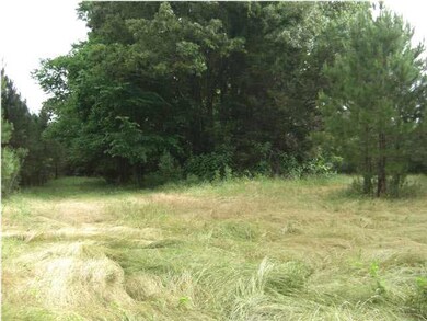 North Food Plot