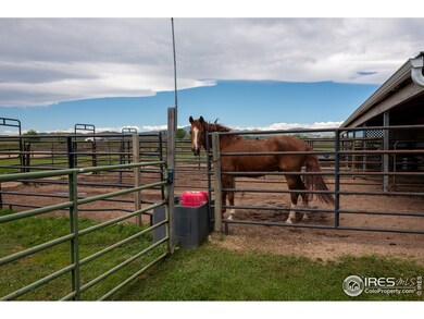 4 outdoor horse runs