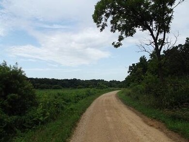 51+/- Acres Cth 0 Rd, Mineral Point, WI 53565 - photo 7