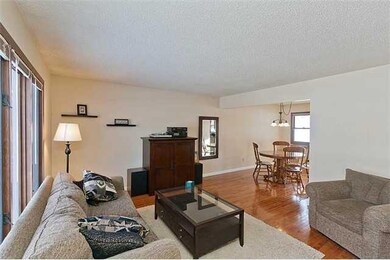Living Room. Nice Bright Main Floor Living/Family Room (This home has two living areas)