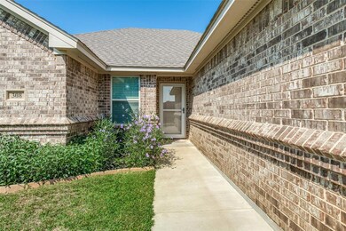 308 Brookfield Dr, Boyd, TX 76023 - photo 4