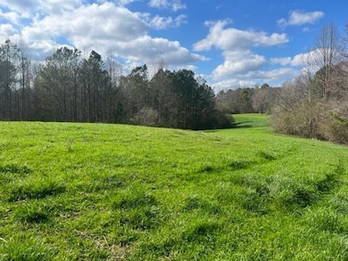 View of green lawn with a view of trees and a view of countryside