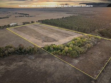 000 An County Road 117, Elkhart, TX 75839 - photo 6