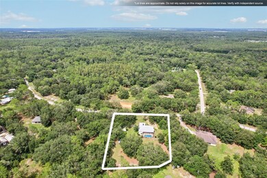 8229 Quail Hollow Blvd, Wesley Chapel, FL 33544 - photo 4