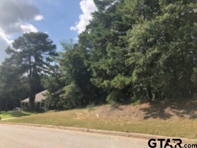 2060 Equestrian Ln, Tyler, TX 75703 - photo 3