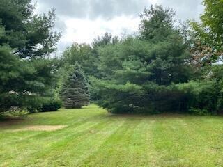 278 West St back yard