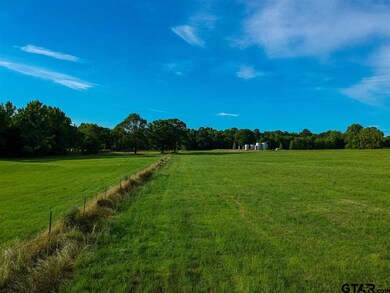 3916 S Kings Hwy, Texarkana, TX 75501 - photo 5