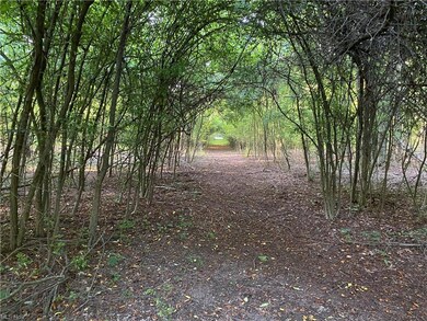 path to rear of property