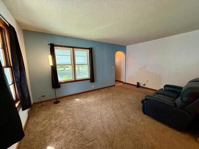 705 Carver St N, Winthrop, MN 55396 - photo 6