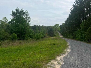 29 AC Cr 3321 unit Talley Road, Longview, TX 75602 - photo 4