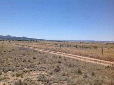 26817 N Sweet Pea Bud Ln, Paulden, AZ 86334 - photo 3