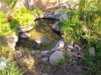 Attractive Pond