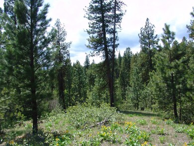Nicely Wooded