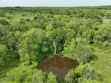 S Rd, Richards, MO 64778 - photo 5