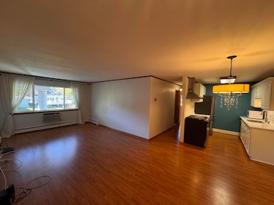 1321 W Main St, Lake Geneva, WI 53147 - photo 7