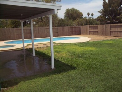 backyard 2
