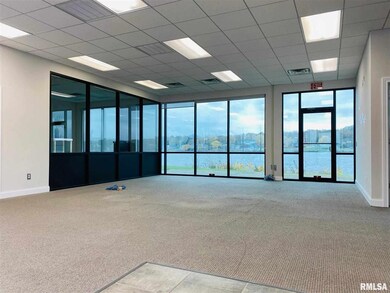 201 N Main St unit 201-1, Port Byron, IL 61275 - photo 3