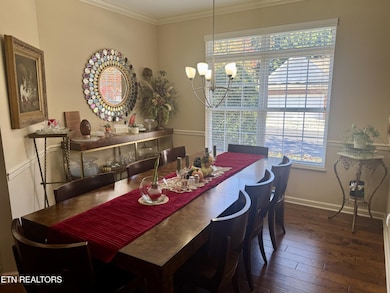 7700 Ester Way, Knoxville, TN 37909 - photo 6