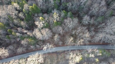 DJI_0563