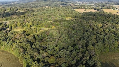 277 Wheeler Rd unit LotWP001, Magnolia, KY 42757 - photo 6