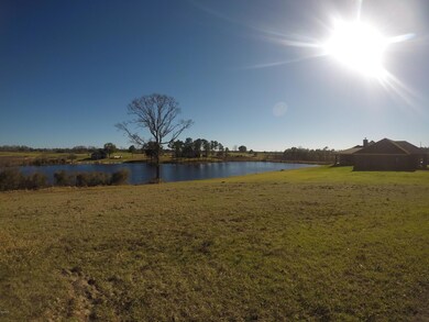 17 R Williams Ln, Lucedale, MS 39452 - photo 2