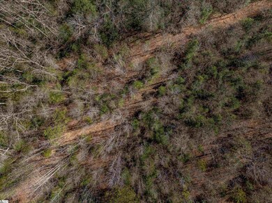 00 Pearson Rd, Belton, SC 29627 - photo 7