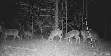 00 Hwy Bb, Fairdealing, MO 63939 - photo 4