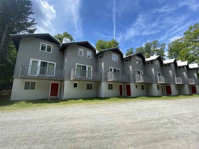 2 Birch Hill Rd, Winhall, VT 05340 - photo 2