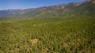 DJI_0903