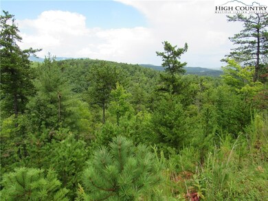 Lot 107 Nightshade Rd, Boone, NC 28607 - photo 4
