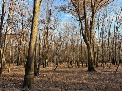 0 Levee Rd unit 11610894, Velpen, IN 47590 - photo 7