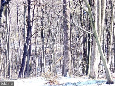 1073 King Arthur Ct, Sykesville, MD 21784 - photo 5