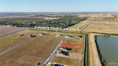 20668 Isabella Kristine St, Edcouch, TX 78538 - photo 3