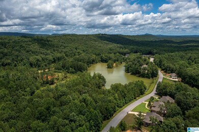 0 Deer Ridge Dr unit 1359785, Chelsea, AL 35043 - photo 4