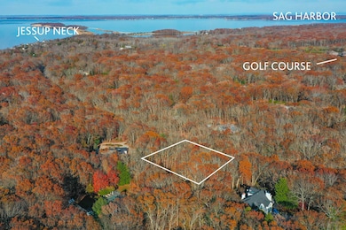 2736 Deerfield Rd, Sag Harbor, NY 11963 - photo 2