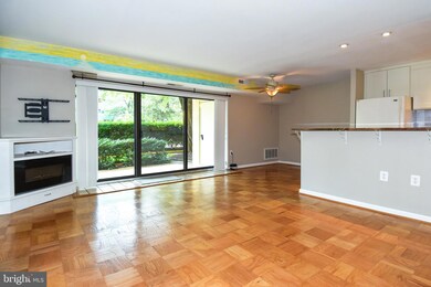 6139 Leesburg Pike unit 206, Baileys Crossroads, VA 22041 - photo 5