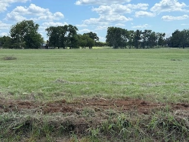 TBD Lot 5 Vz County Road 2702, Mabank, TX 75147 - photo 3