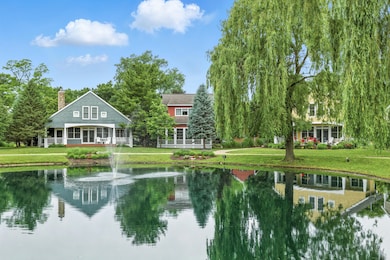 View from pond