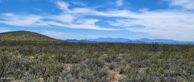 2892 N Middlemarch Rd, Tombstone, AZ 85638 - photo 6