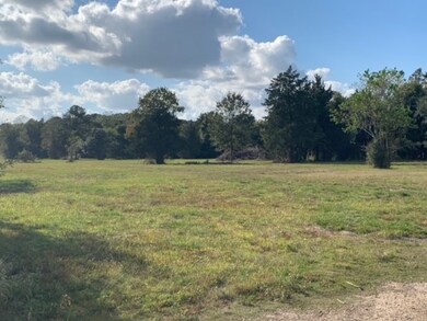 2714 County Road 160 Lot 29, Alvin, TX 77511 - photo 4