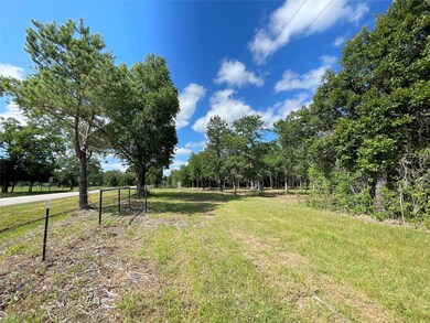 Tract 5 Farm To Market 362, Waller, TX 77484 - photo 5