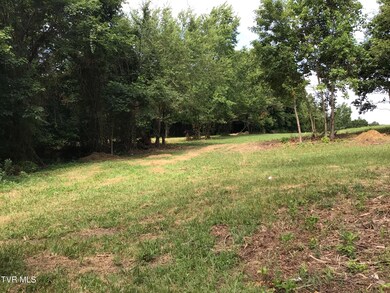7 Laws Rd, Greeneville, TN 37743 - photo 6